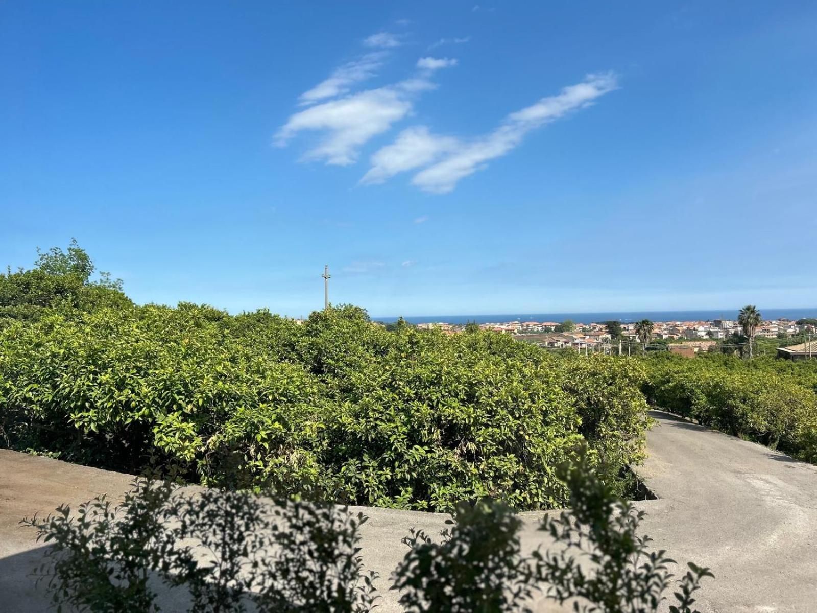 Villa Iiulia Hills Fiumefreddo di Sicilia Exterior photo